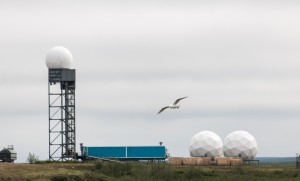 Seagull - Tuktoyaktuk NWT